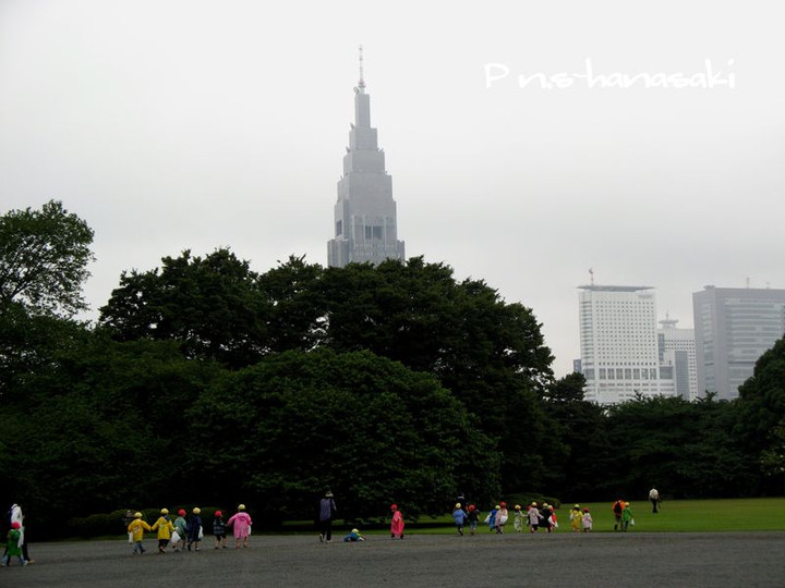 IMG_3120-2