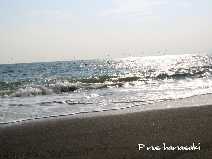 IMG_3727-2