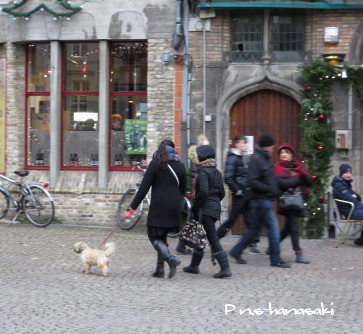Img_48066_3