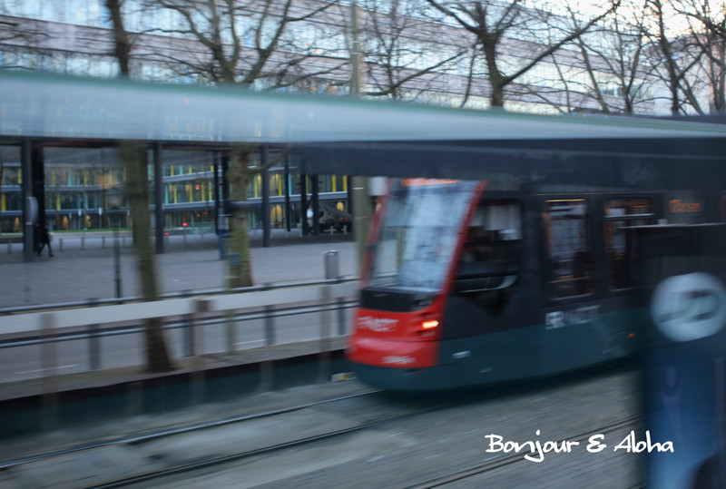 3h6a56492