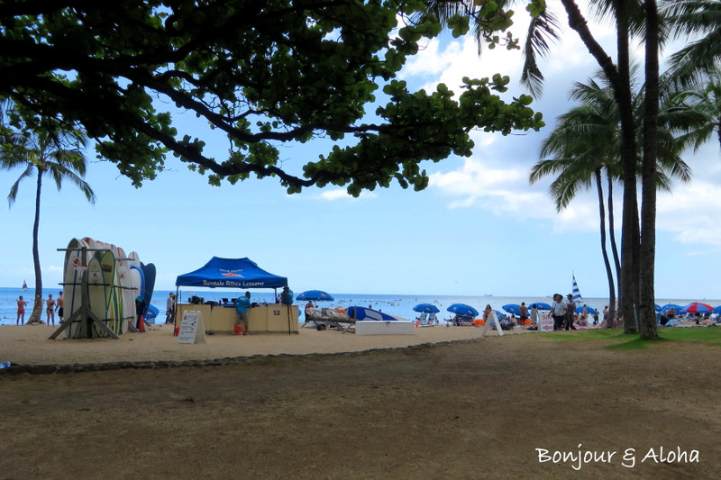 Img_1709_12